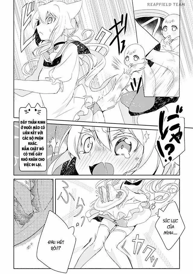 Chapter 2