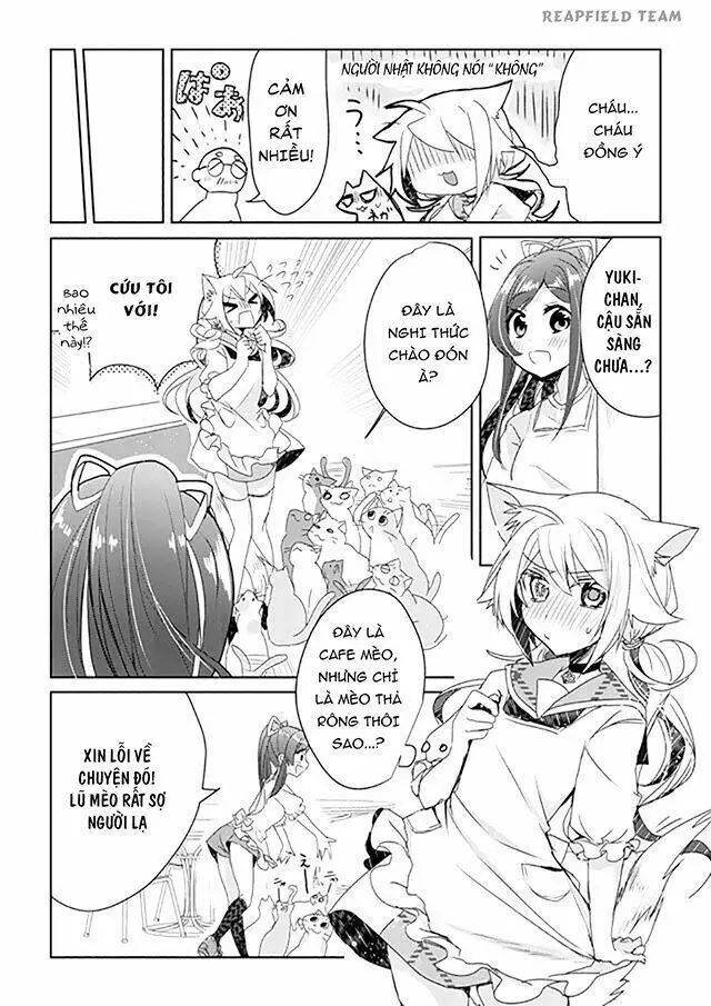 Chapter 2