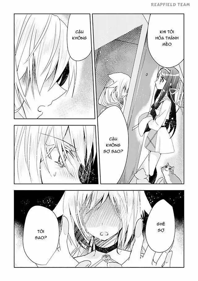 Chapter 1