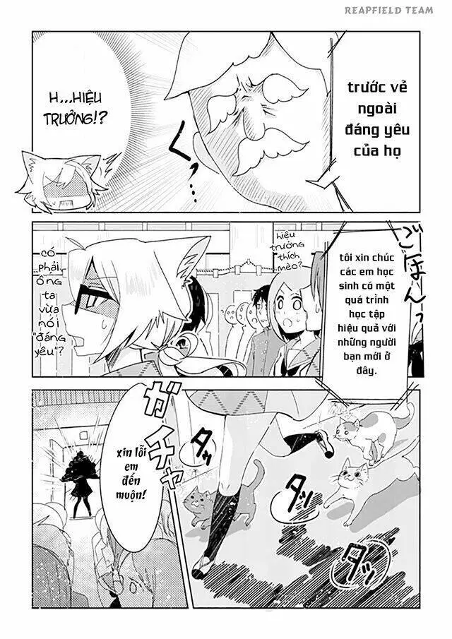 Chapter 1
