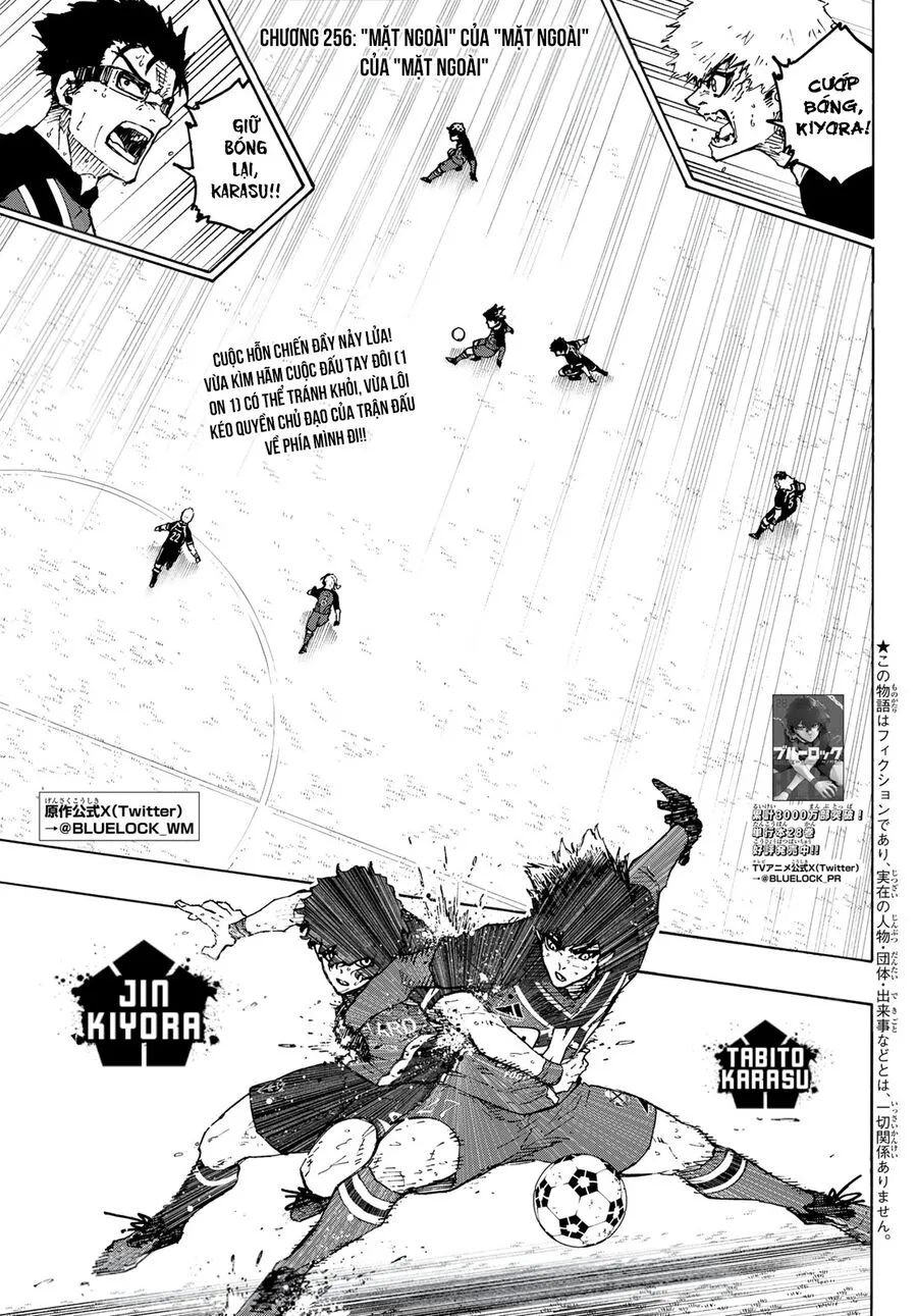 Chapter 256