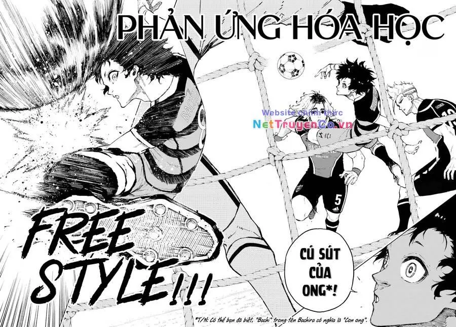 Chapter 161