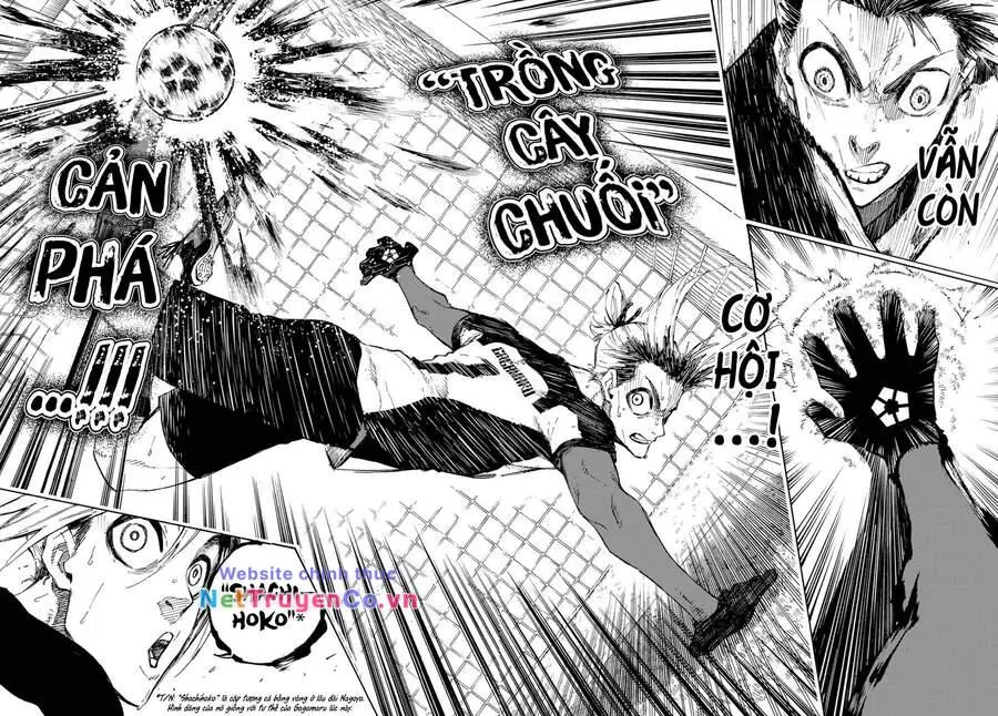 Chapter 135