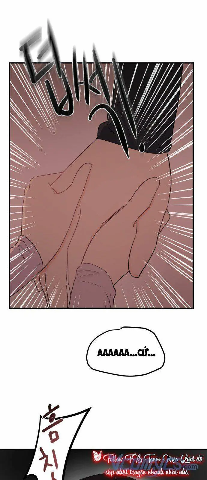 Chapter 25