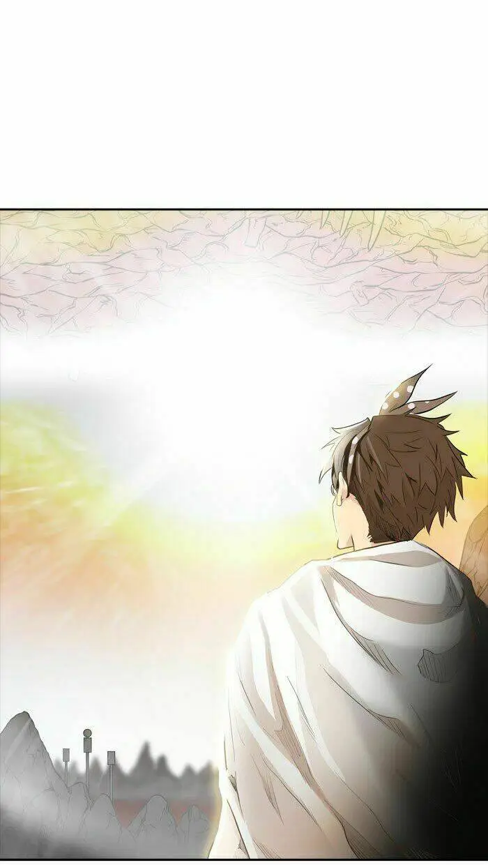 Chapter 339