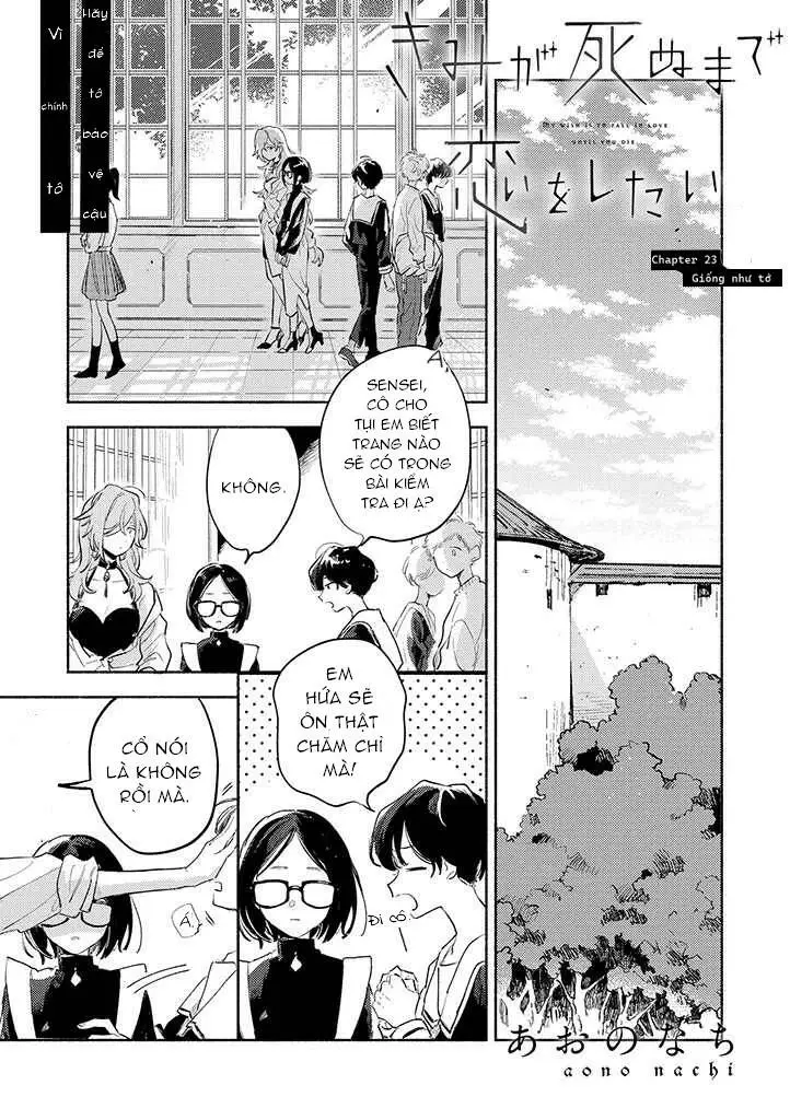 Chapter 23