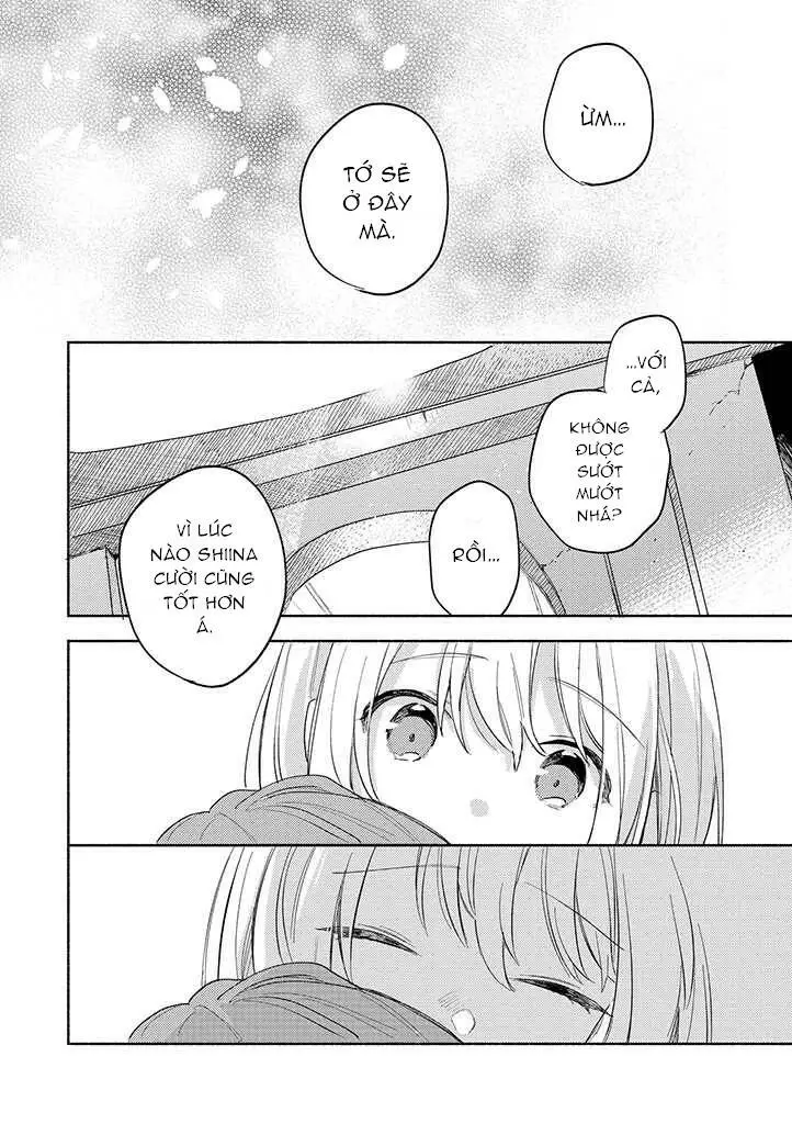 Chapter 23