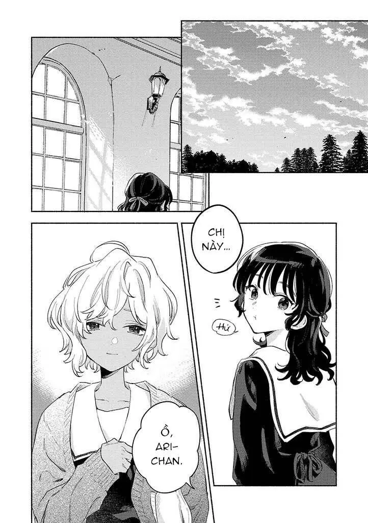 Chapter 23