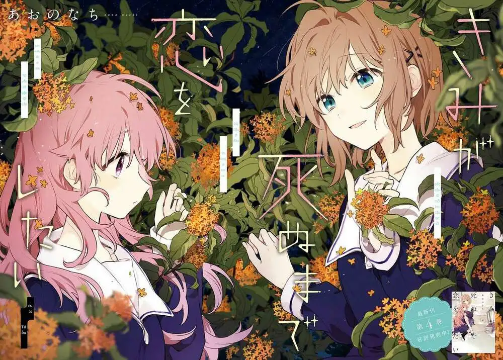 Chapter 20