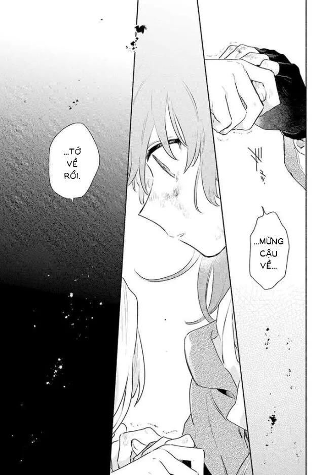 Chapter 15