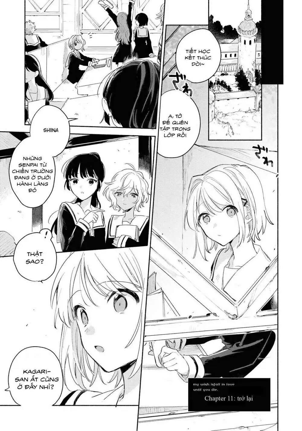 Chapter 11