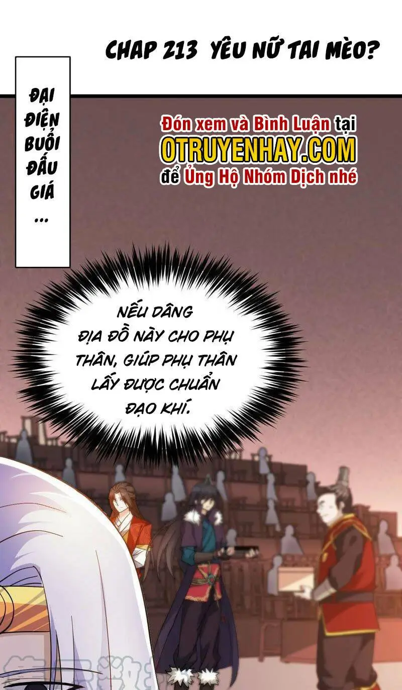 Chapter 213