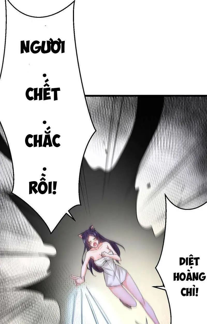 Chapter 213