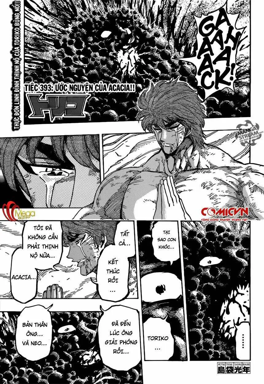 Chapter 393