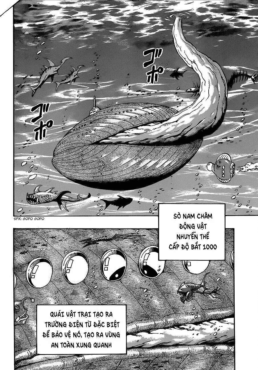 Chapter 326