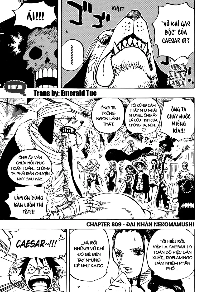 Chapter 809