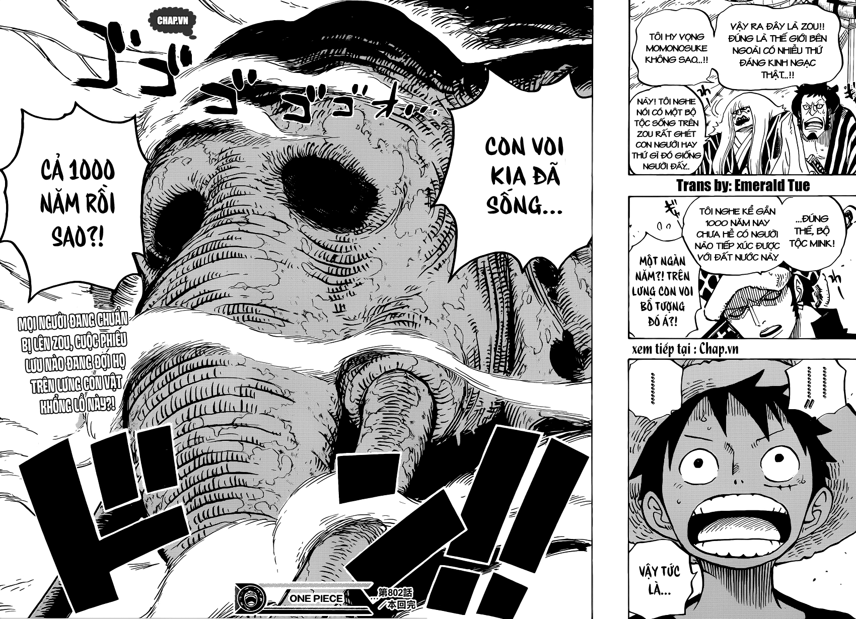 Chapter 802