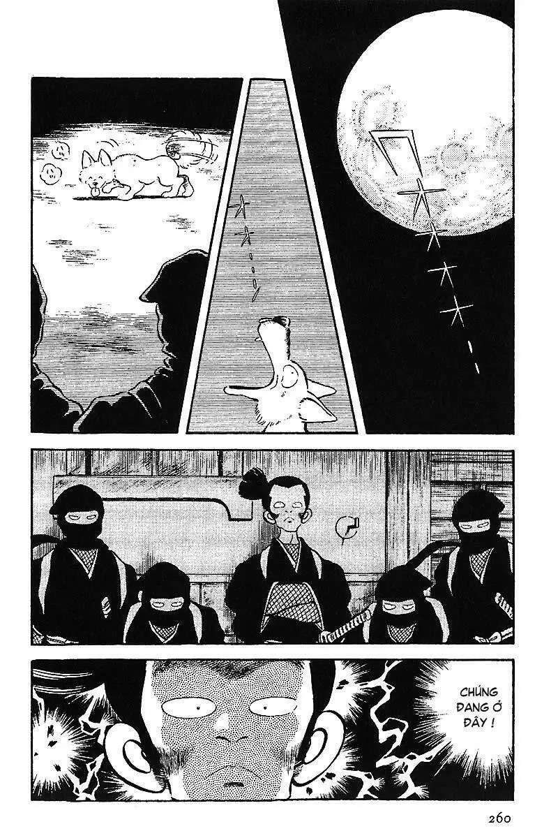 Chapter 14