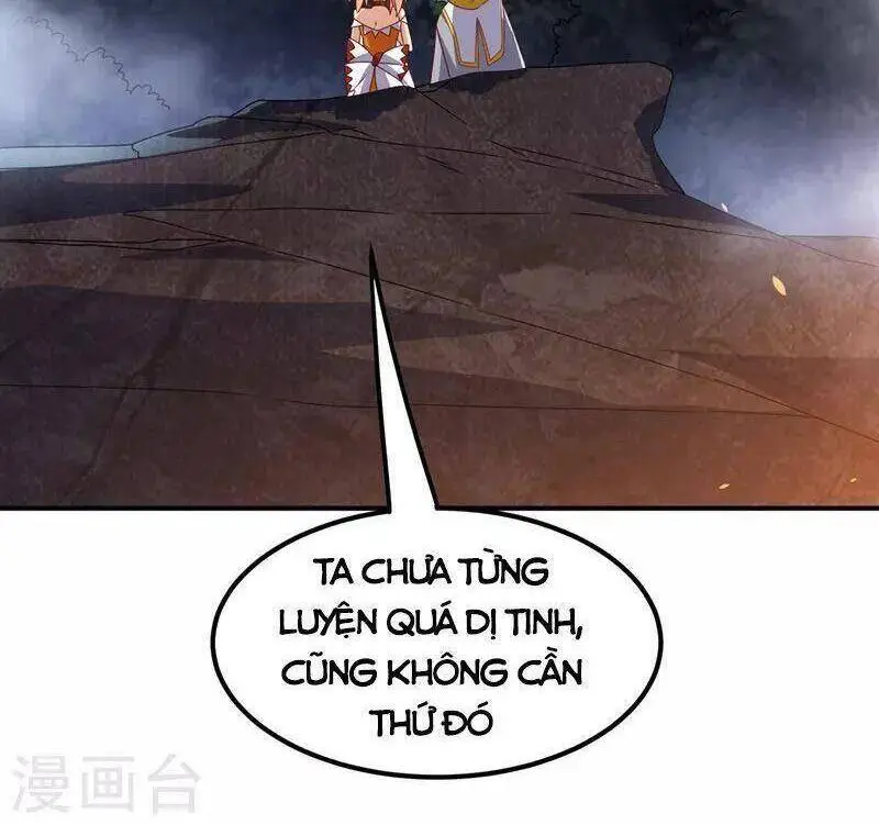 Chapter 262