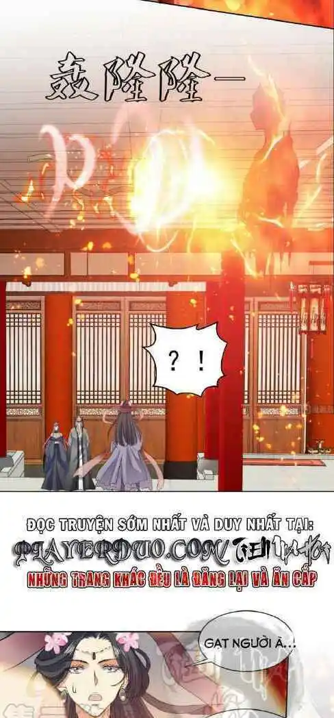 Chapter 211