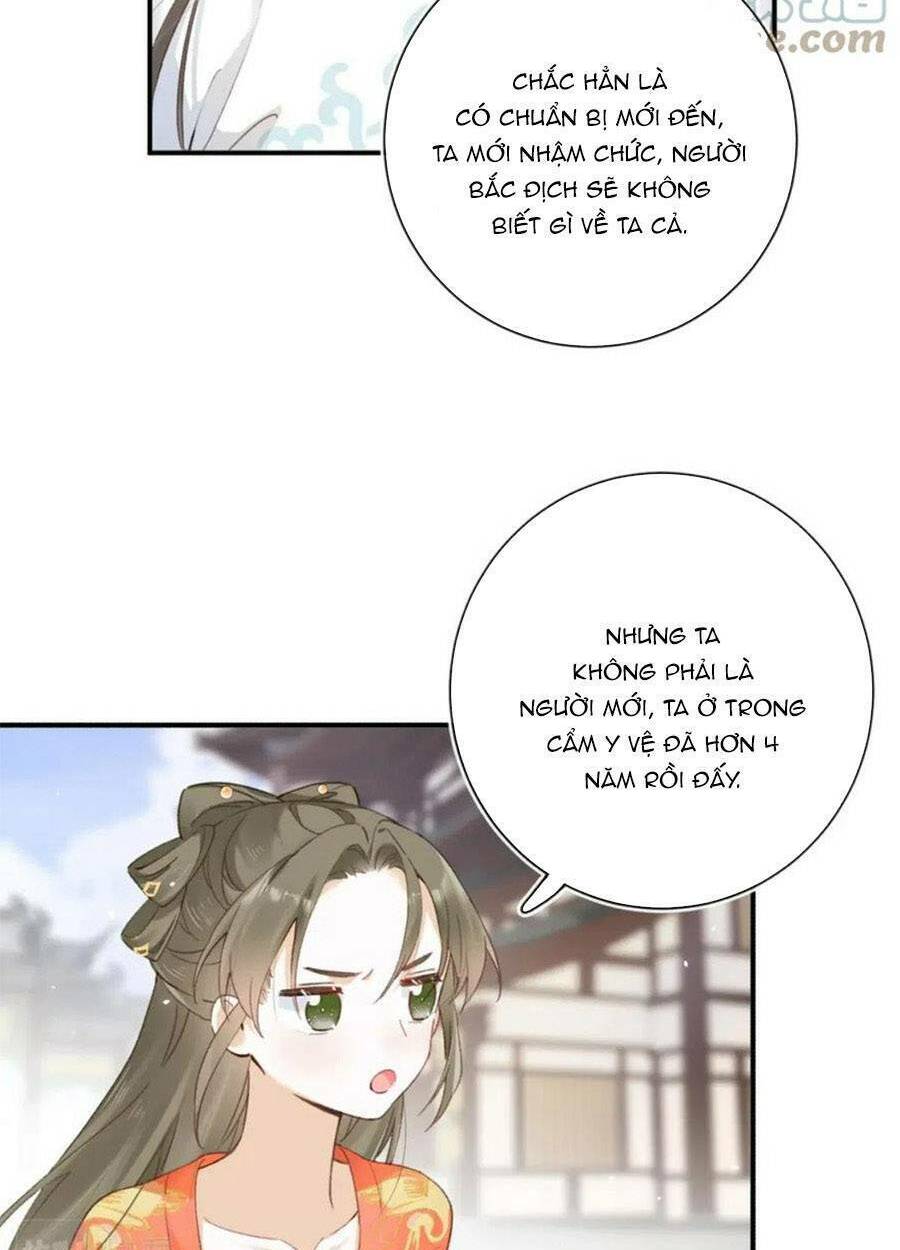 Chapter 95