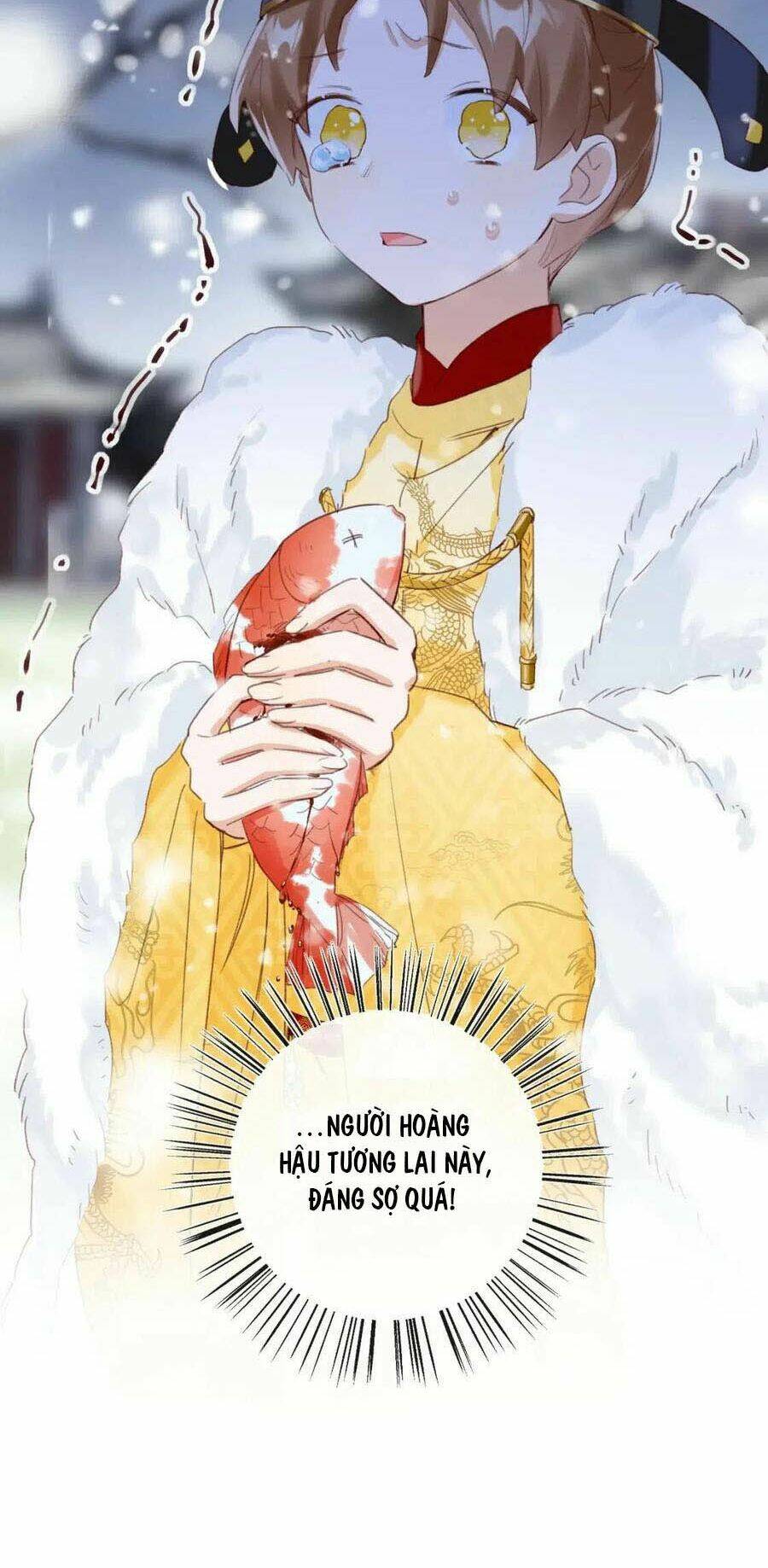 Chapter 48