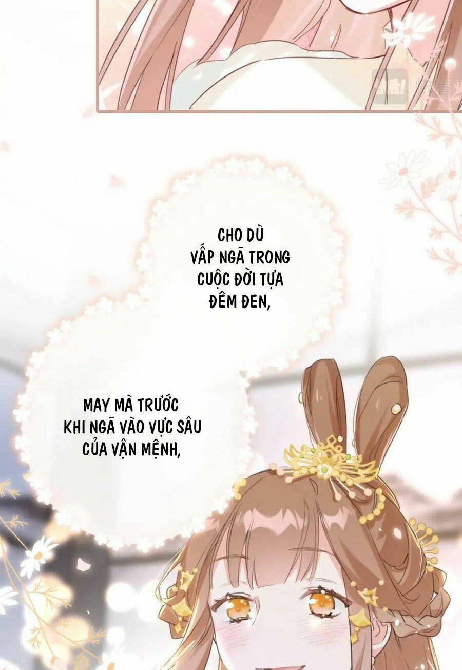 Chapter 40