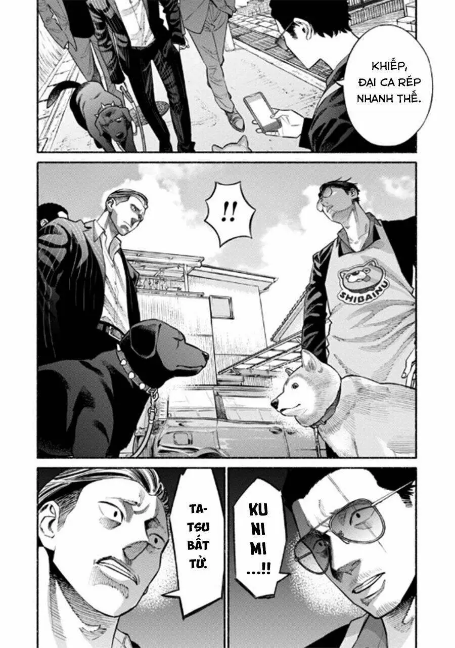 Chapter 50