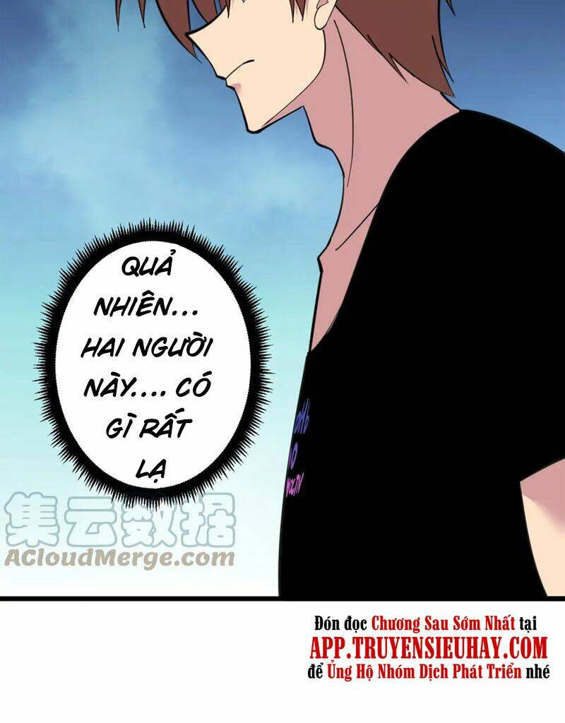 Chapter 333