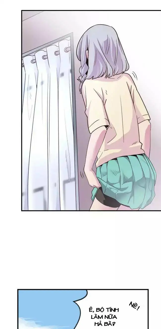 Chapter 15