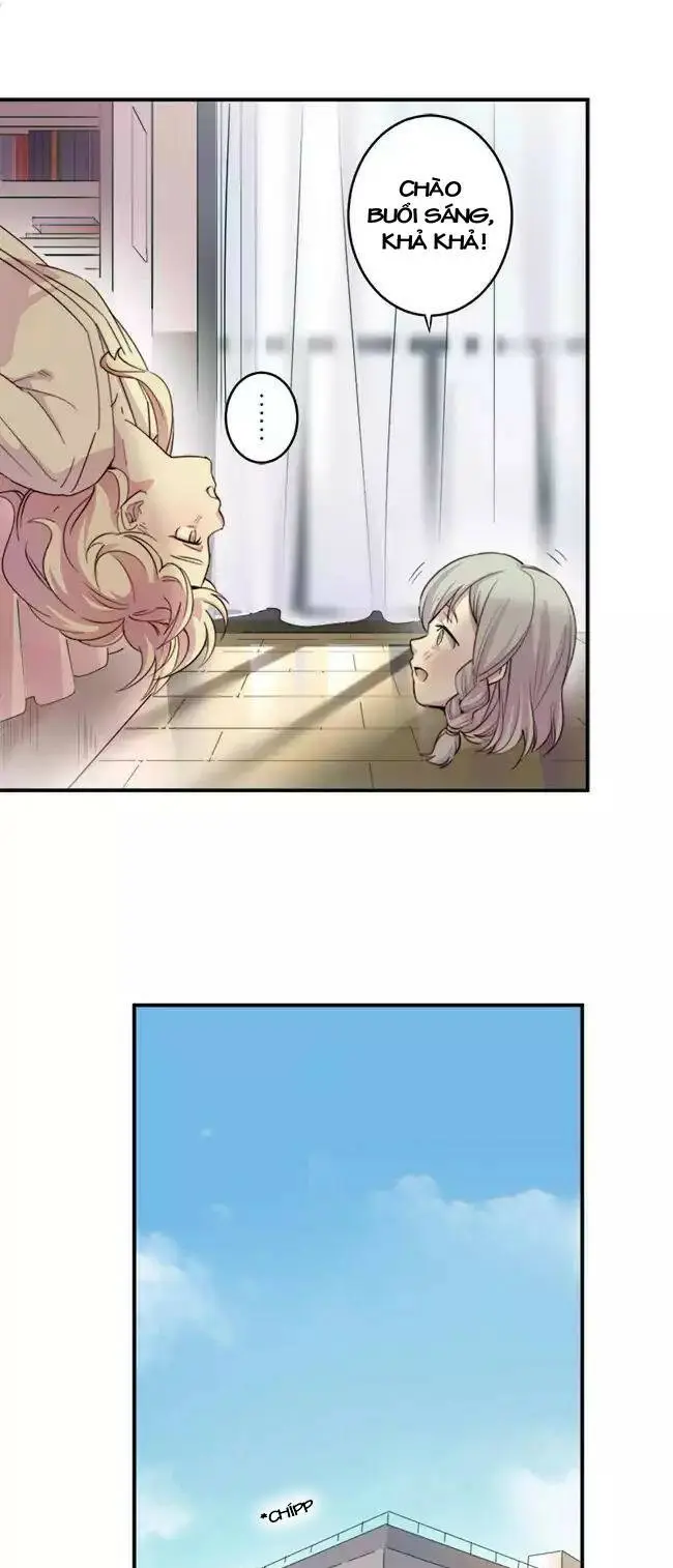 Chapter 14