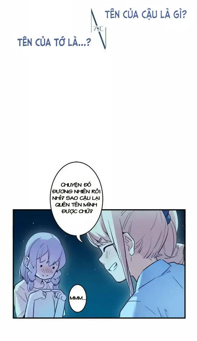 Chapter 13