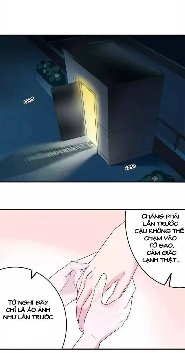 Chapter 13