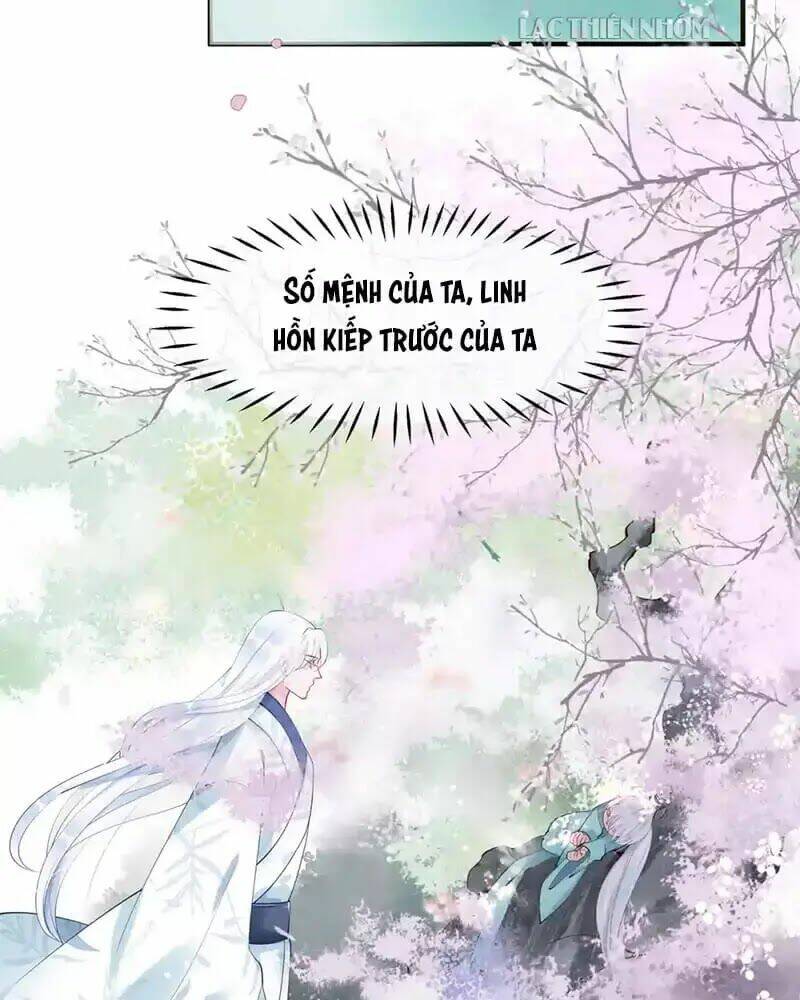 Chapter 53