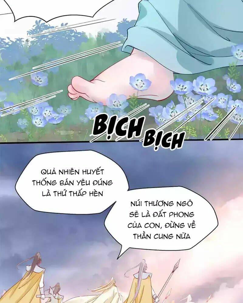 Chapter 41