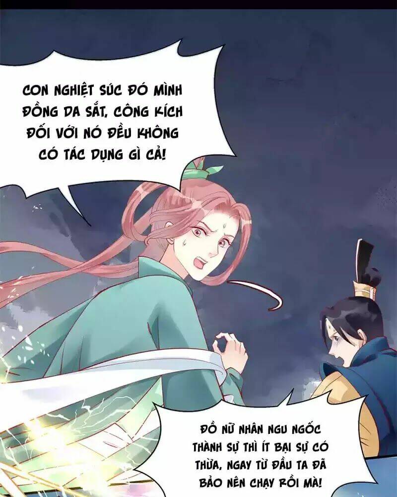 Chapter 41