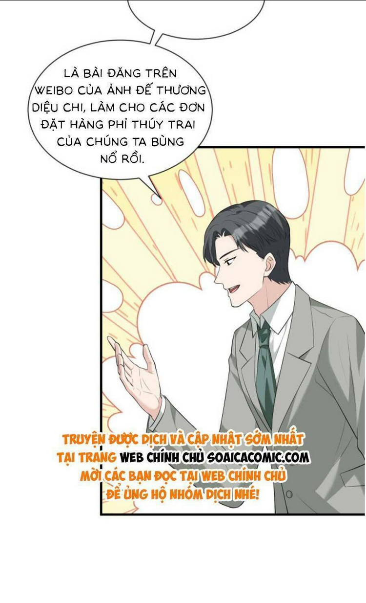 Chapter 95