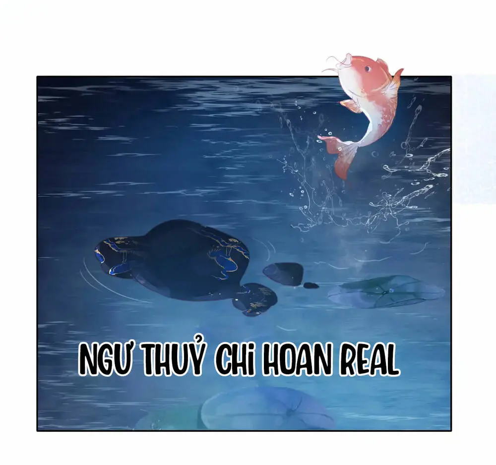 Chapter 36