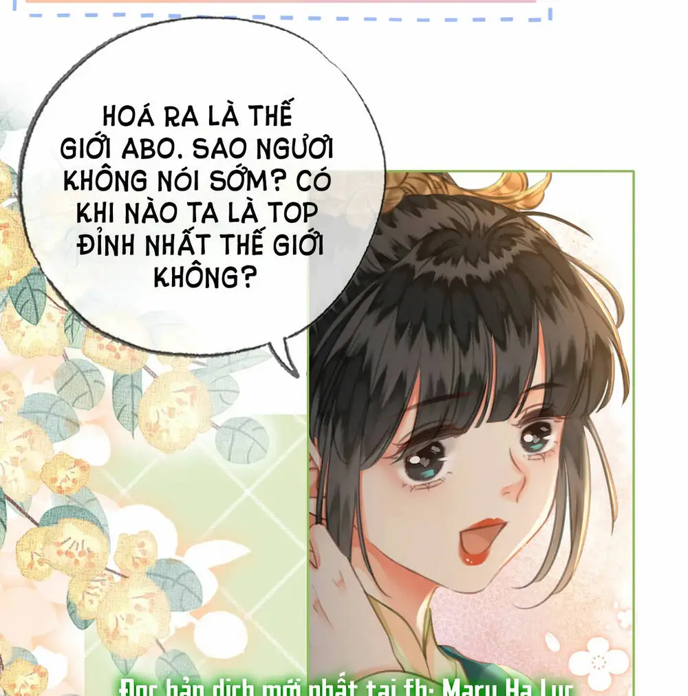 Chapter 35