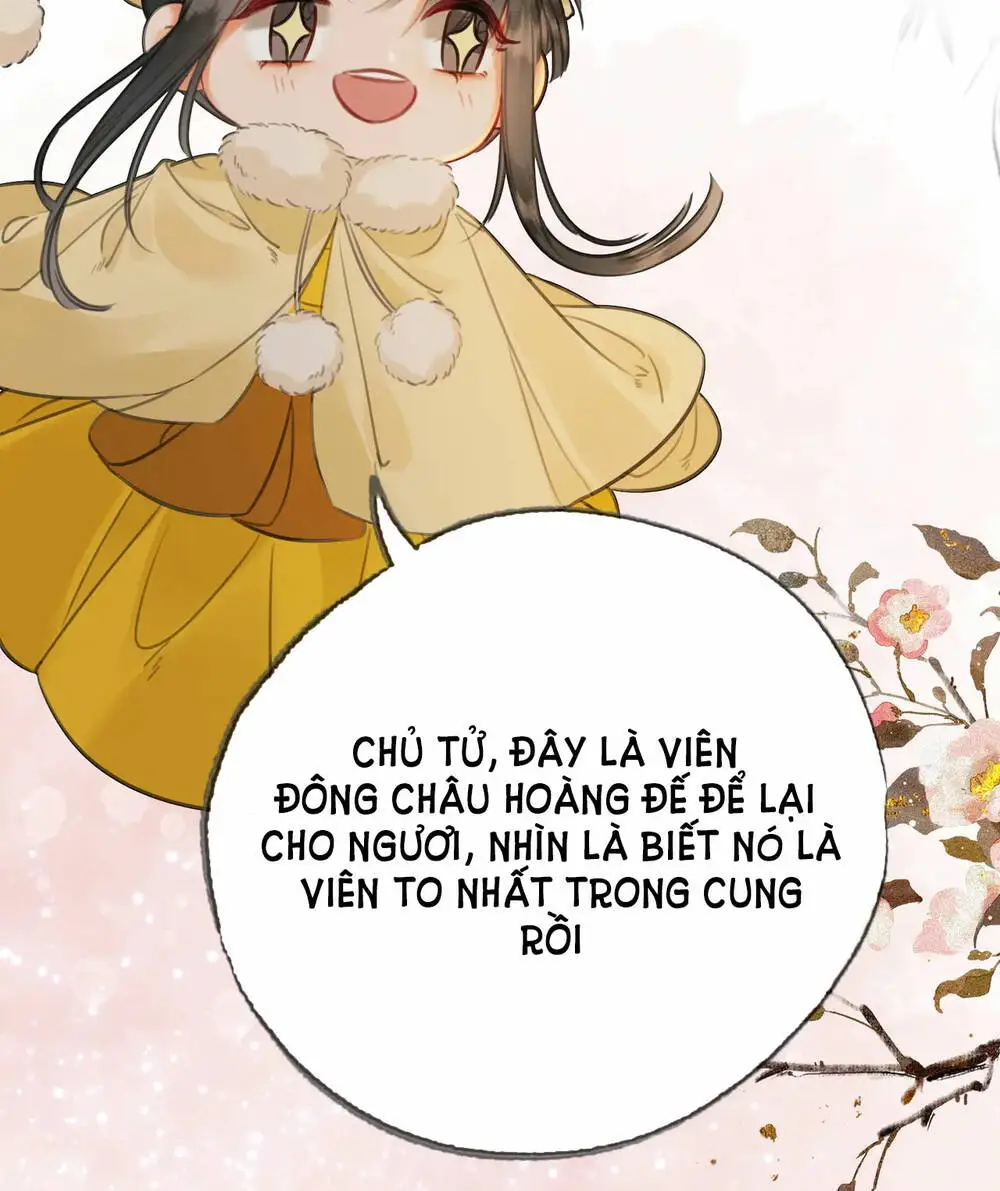 Chapter 32