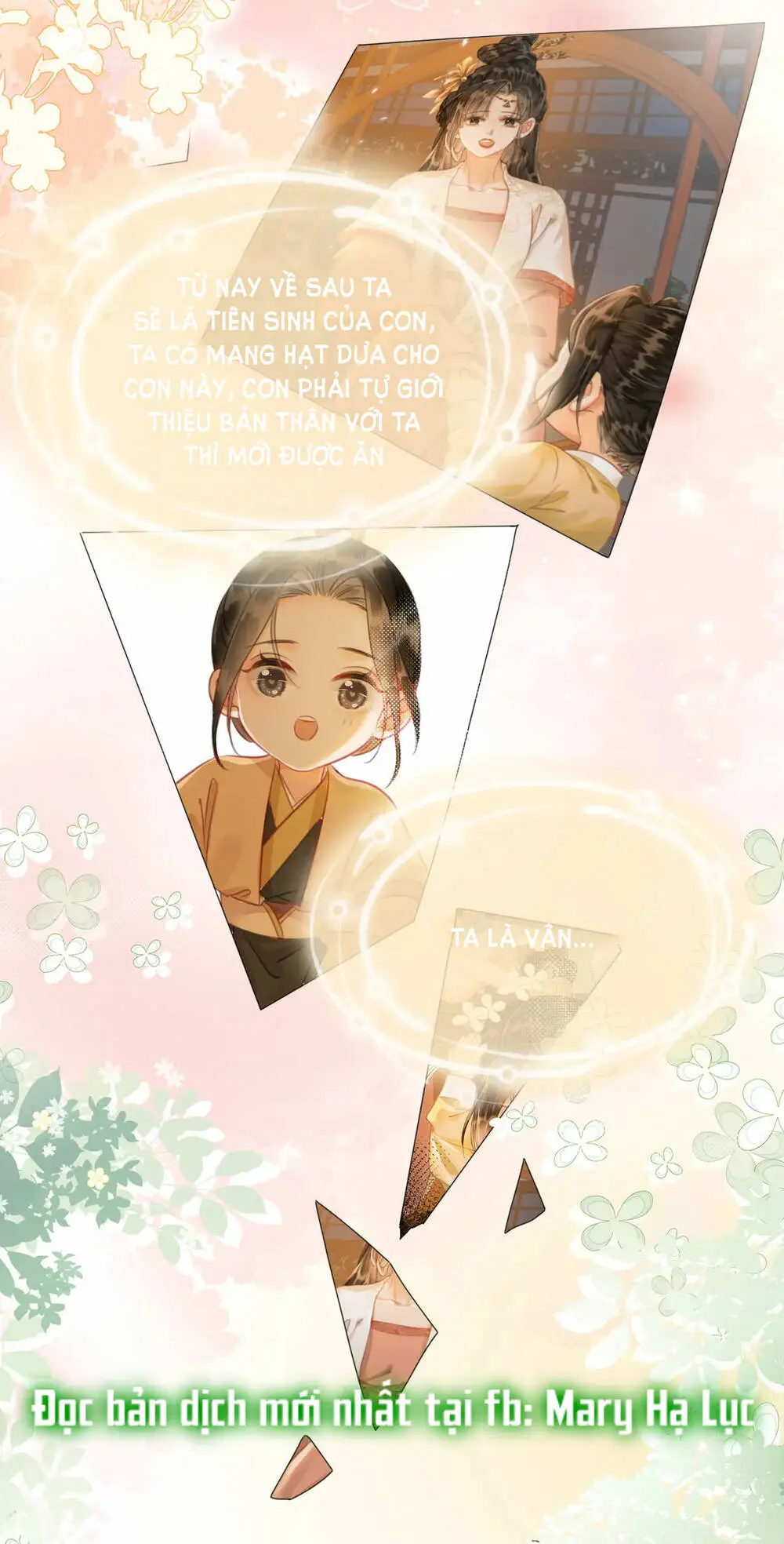Chapter 29