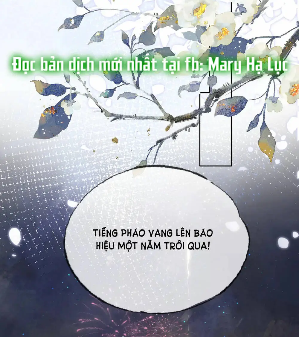 Chapter 29