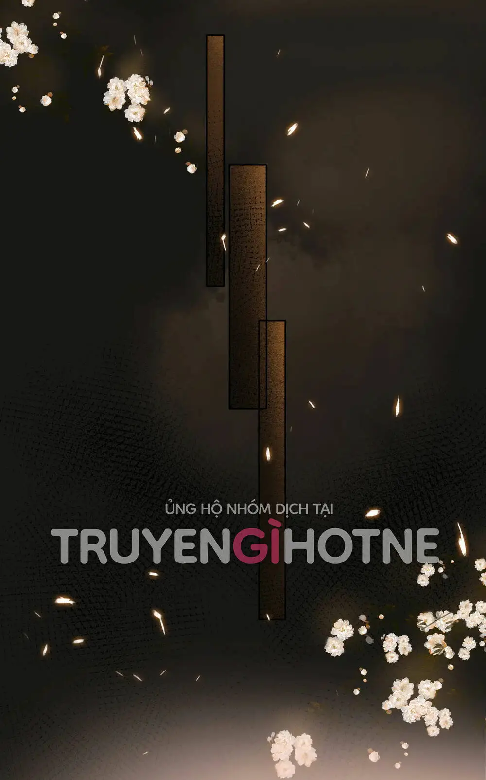 Chapter 28