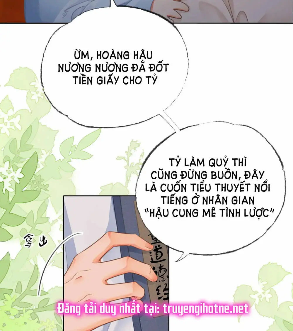 Chapter 28