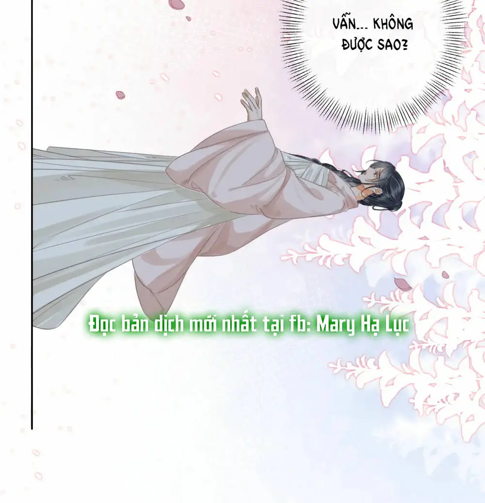 Chapter 28