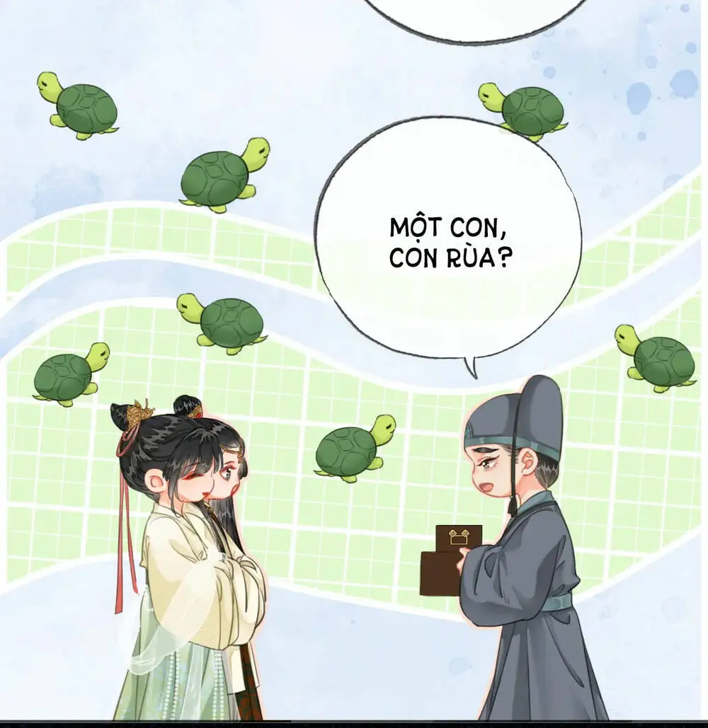 Chapter 28