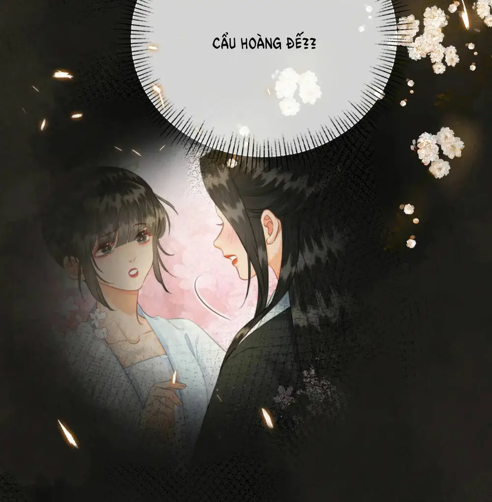 Chapter 28