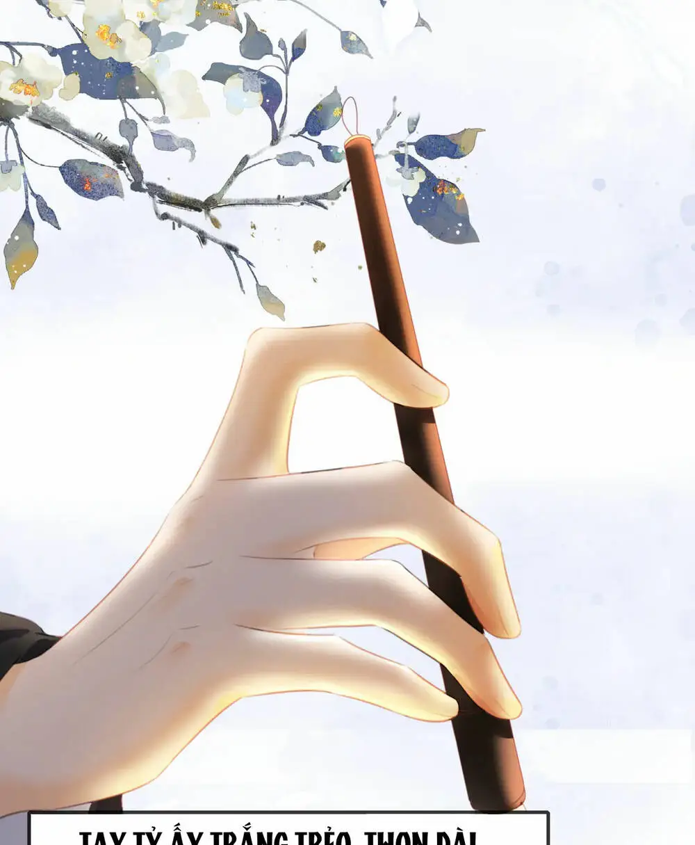 Chapter 26