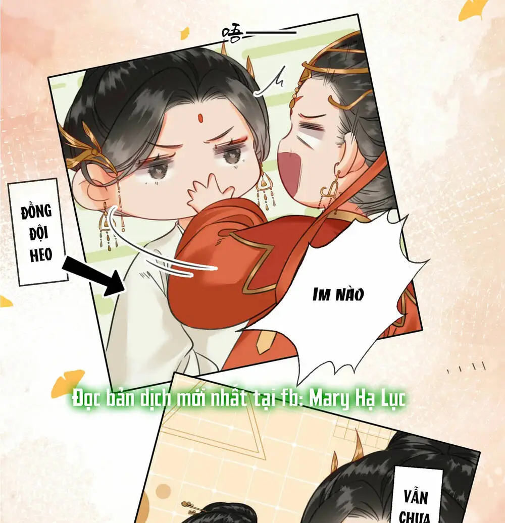 Chapter 25