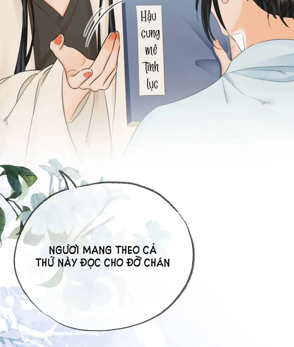 Chapter 25